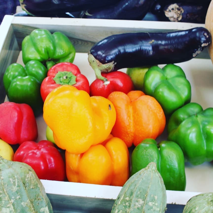 مرچ و سبزی تازه! #جشن_استقلال_و_نمایشگاه_محصولات_زراعتی #بادام_باغ_کابل