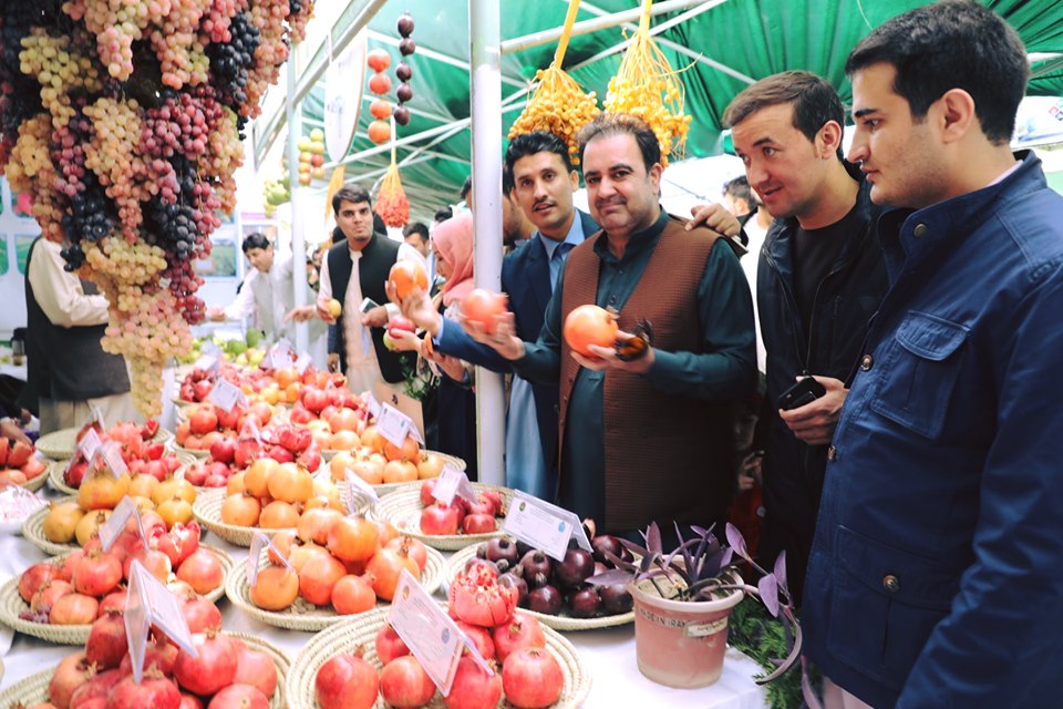 بادام‌باغ کابل #جشن_استقلال_و_نمایشگاه_محصولات_زراعتی