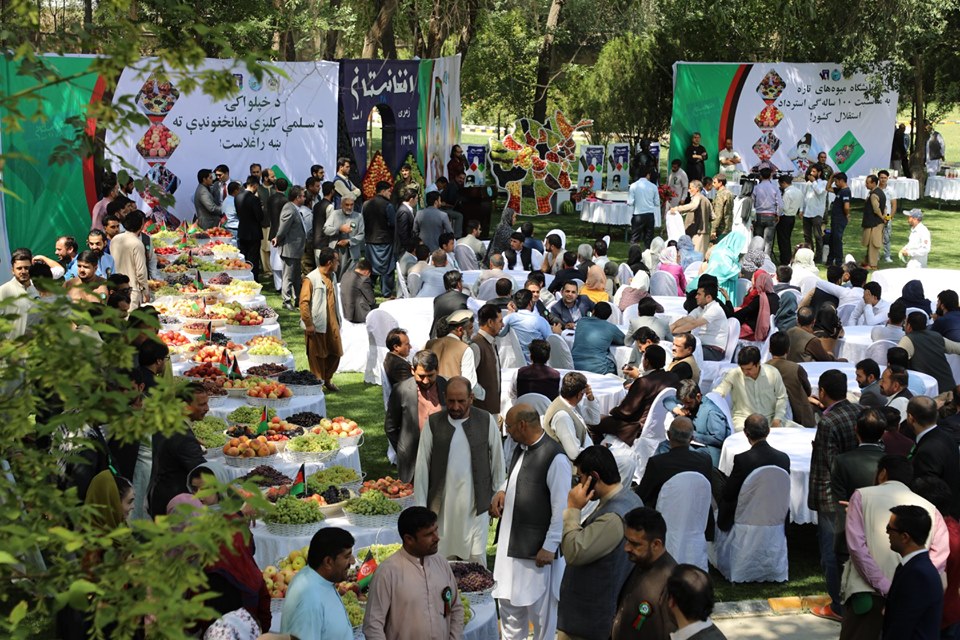 به مناسبت صدمین سالروز استرداد استقلال کشور، نمایشگاه محصولات زراعتی در صحن وزارت زراعت، آبیاری و مالداری برگزار شد.