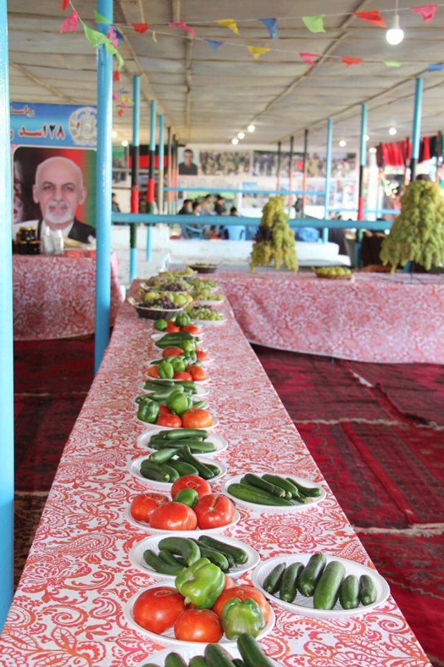 به مناسبت صدمین سالروز استرداد استقلال کشور نمایشگاه محصولات زراعتی در ولایت جوزجان برگزار شد.