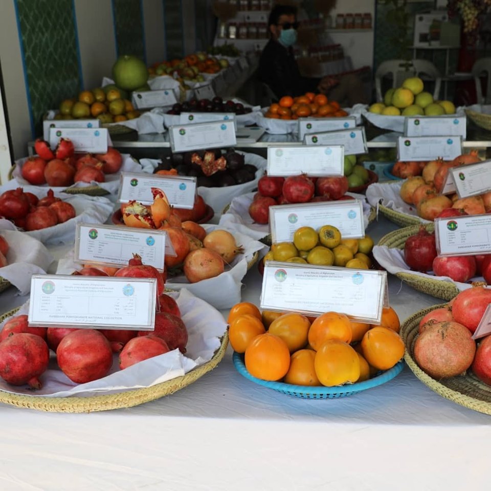 میوه تازه در #بیست‌وچهارمین_نمایشگاه_محصولات_زراعتی
