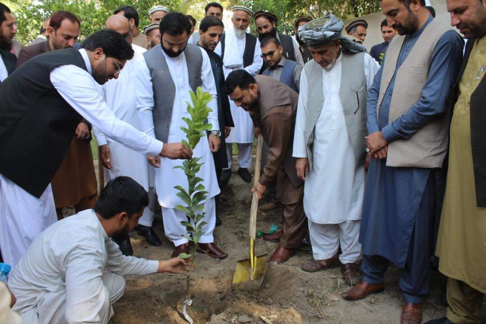 Construction of Standard Pine Nuts Processing Factory Begins in Paktia