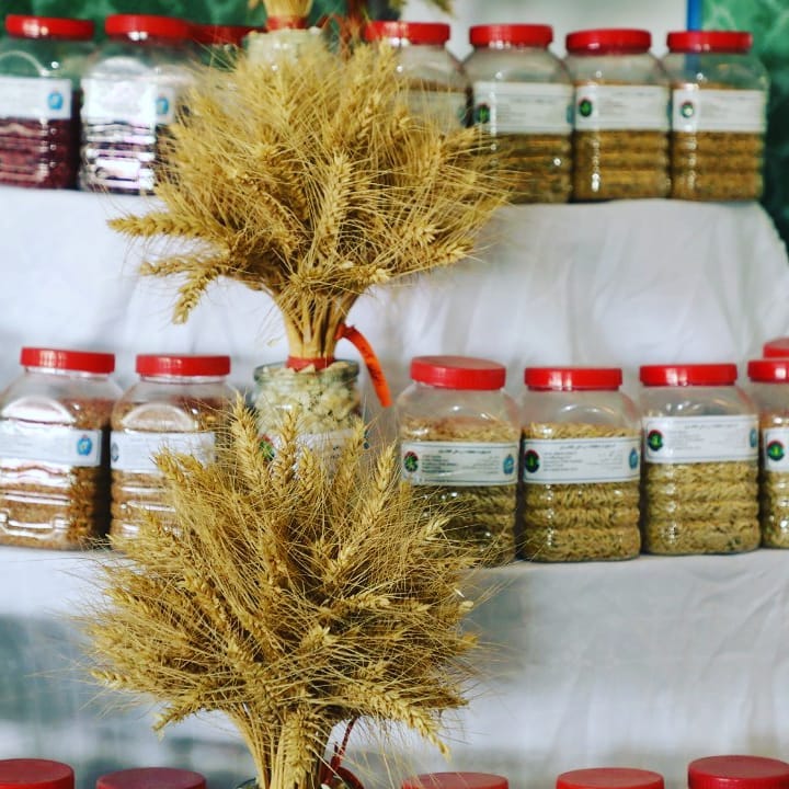 آخرین روز از #بیست‌وچهارمین_نمایشگاه_محصولات_زراعتی #بادام‌باغ_کابل