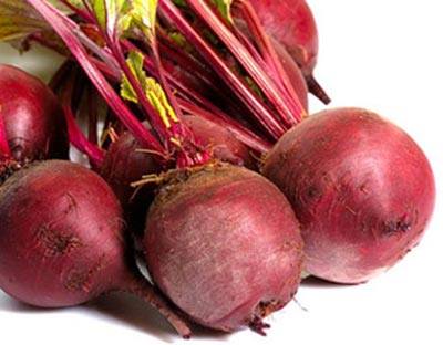 The interest of Herat peasants in cultivation of beetroots