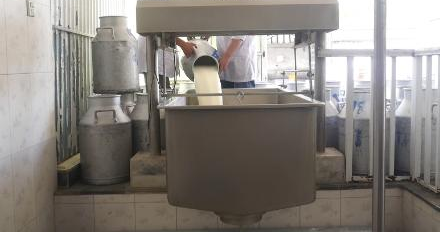 پروسس ۱۴ هزار لیتر شیر از سوی چهار شرکت لبنی در بلخ