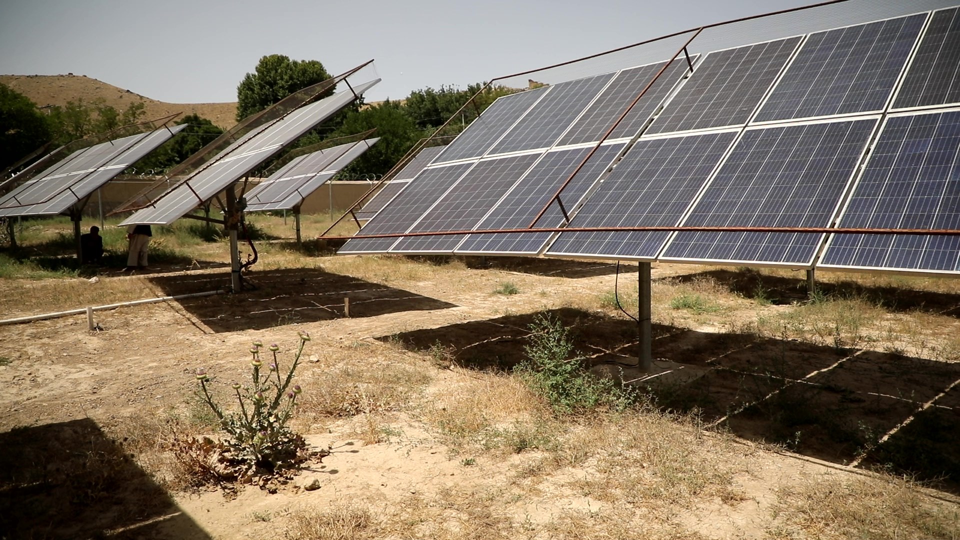 سه شبکه‌ی برق آفتابی برای آبیاری نهال‌های کمربند سبز کابل به فعالیت آغاز کرد