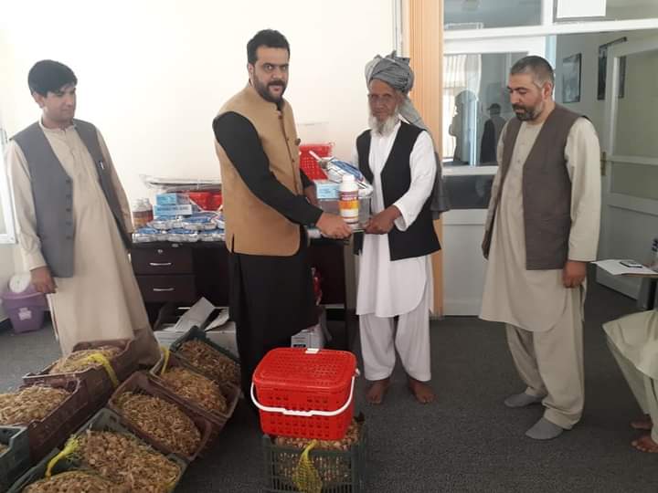 ۱۰ تن پیاز زعفران به دهقانان کابل توزیع شد