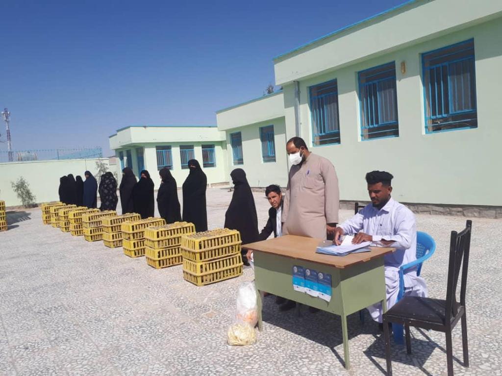 1000 Poor women received Small Poultry Farms in Nimroz