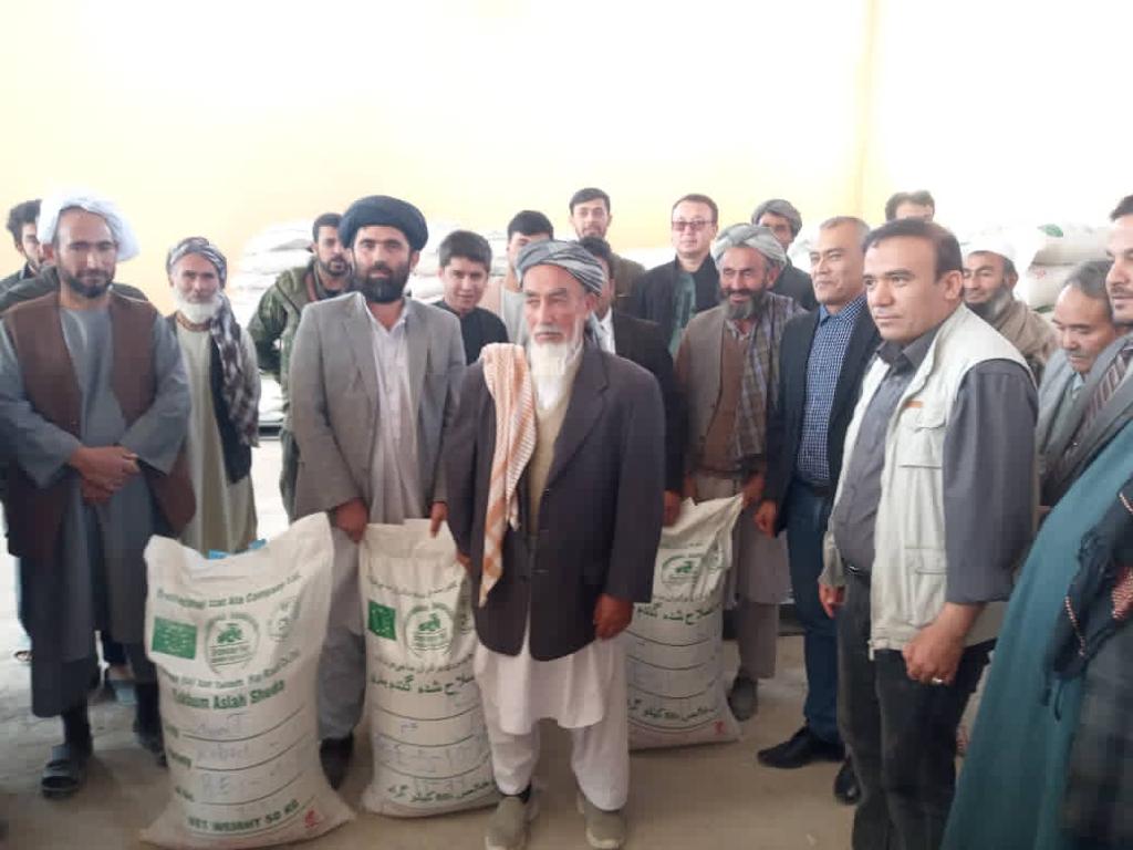 293 Tons modified seeds are distributed to 5,860 farmers in Sarpol-e Pool