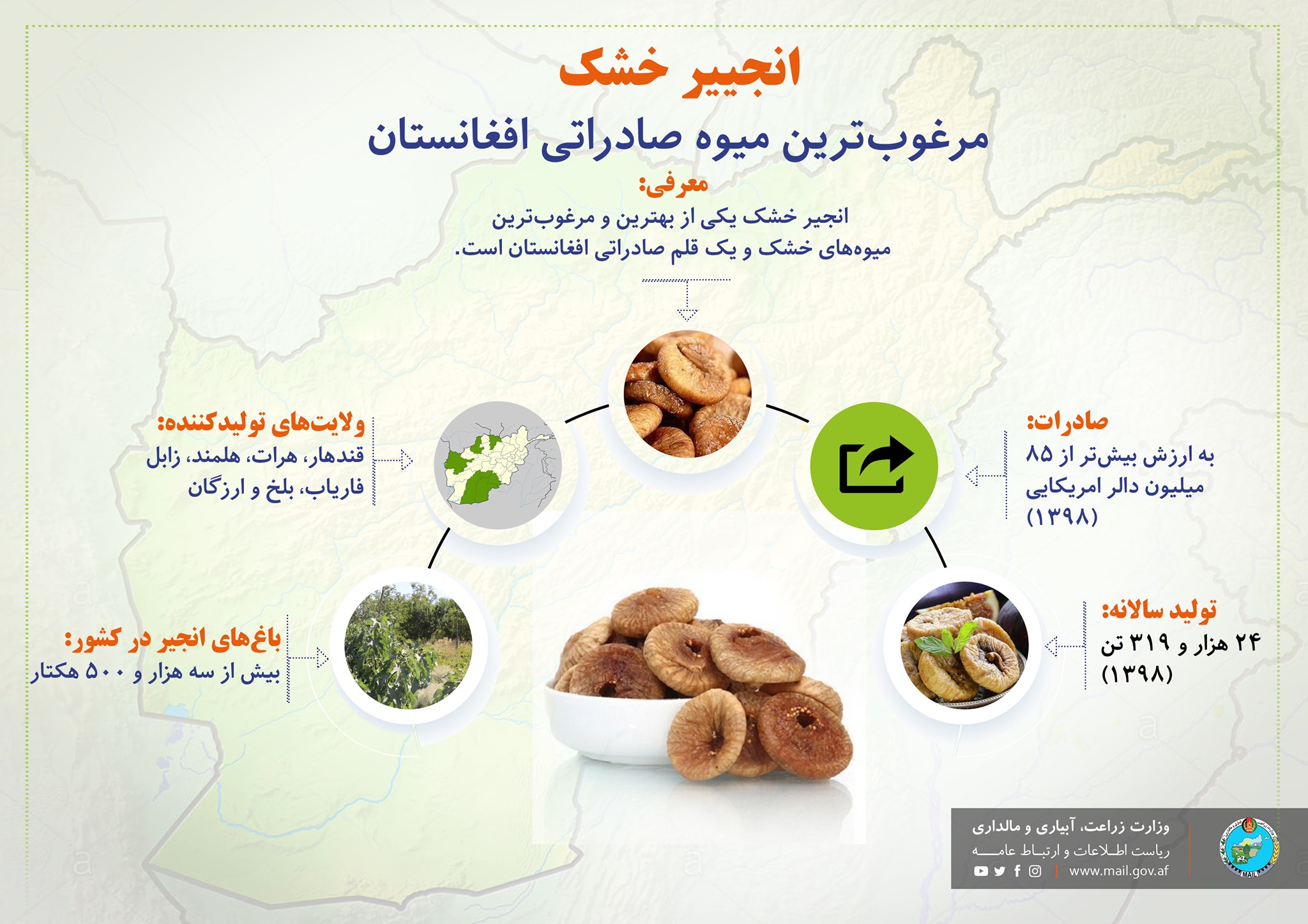 انجییر خشک مرغوب‌ترین میوه صادراتی افغانستان