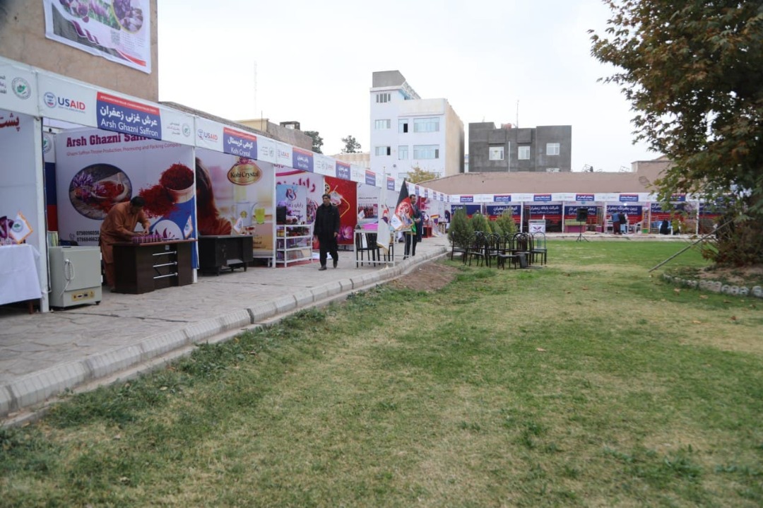 آمادگی‌ها برای آغاز ششمین جشنواره ملی گل زعفران در هرات!
