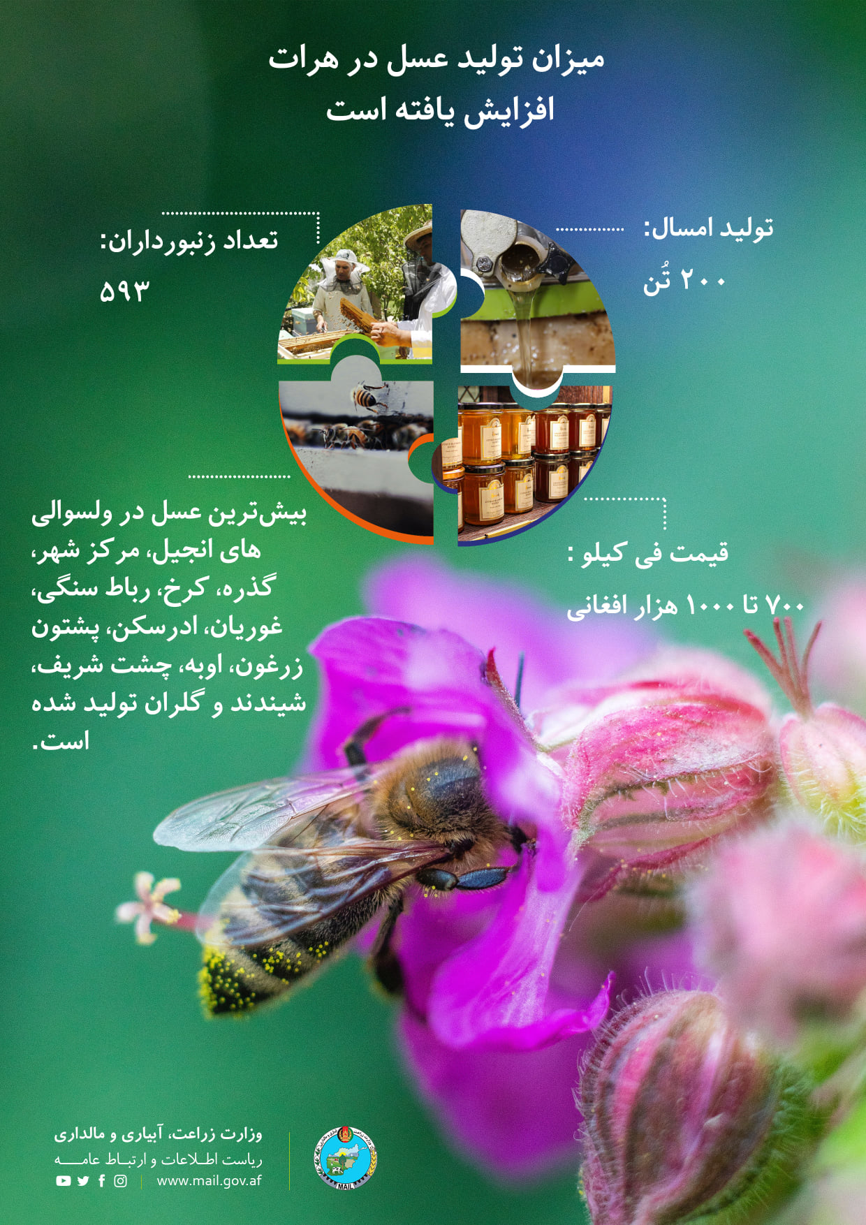 میزان تولید عسل در هرات