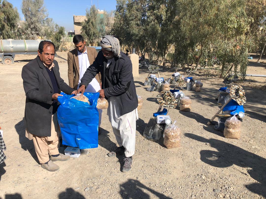 Nimroz Farmers Receive Regiment seeds and agricultural packages