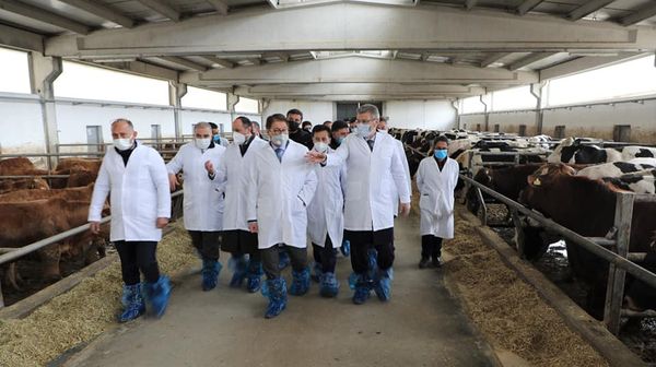 Ahady Visits Sugar Factory and a large Cattle Farm in Turkey