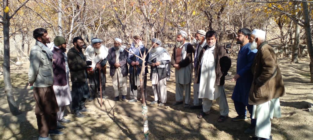 کمپاین میخانیکی مبارزه علیه مورپتدار در ولسوالی شتل ولایت پنجشیر آغاز شد