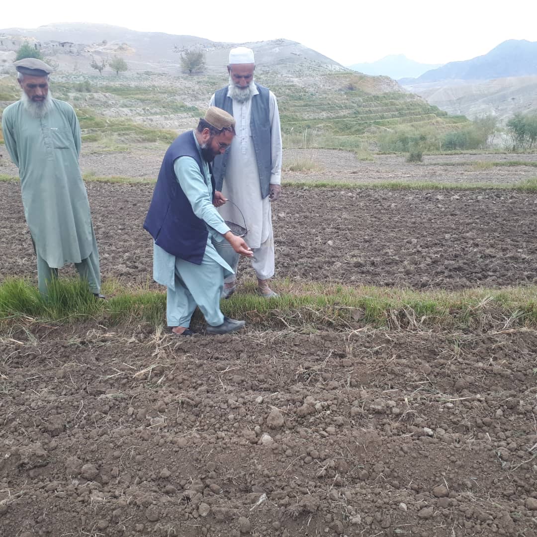 سروبي کې یوشمېر بزګران وروزل شول