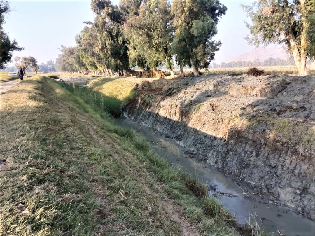 ننګرهار کانال شرکت کې د زابرونو پاک کارۍ چارې پیل شوې