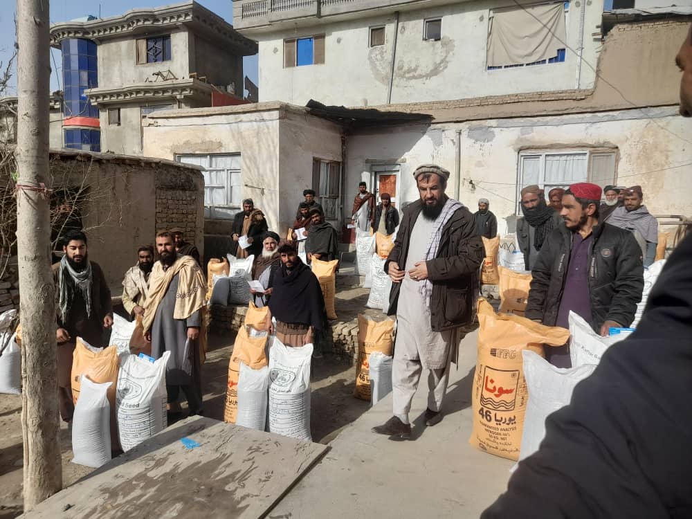 برای ۶۰ تَن از دهاقین در ولسوالی پلخمری ولایت بغلان تخم بذری گندم و کودکیمیاوی توزیع شد