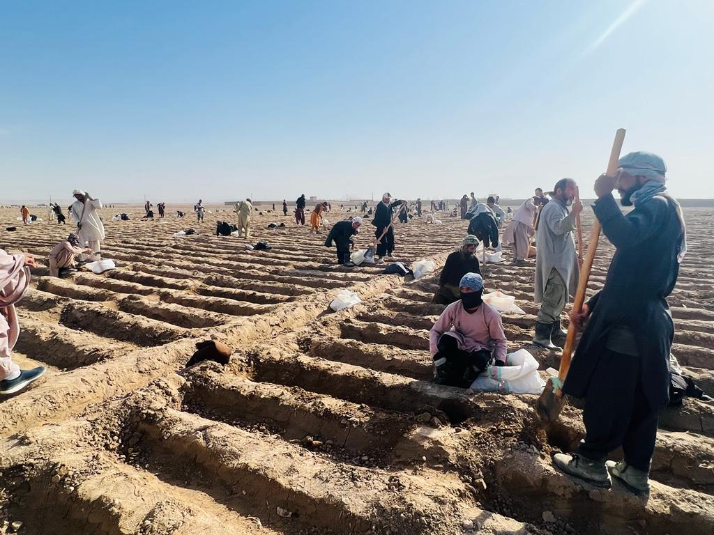 سرمایه گذاری بیش از یک میلیون دالر در بخش پرورش هنگ در ولایت کندز