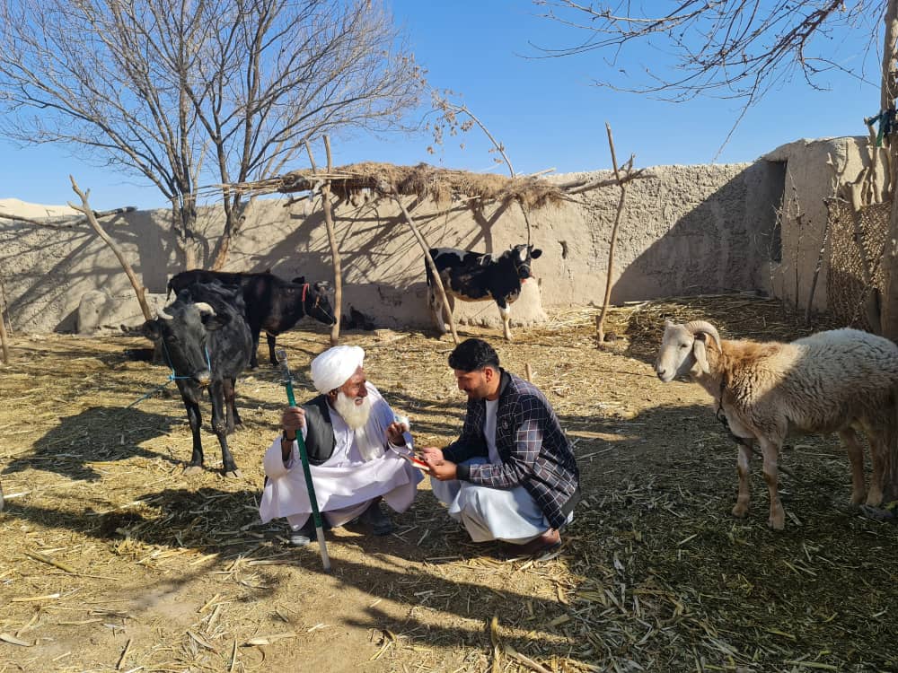 د هلمند ناوه کې زرو تنو مالدارانو سره مرستې کېږي 