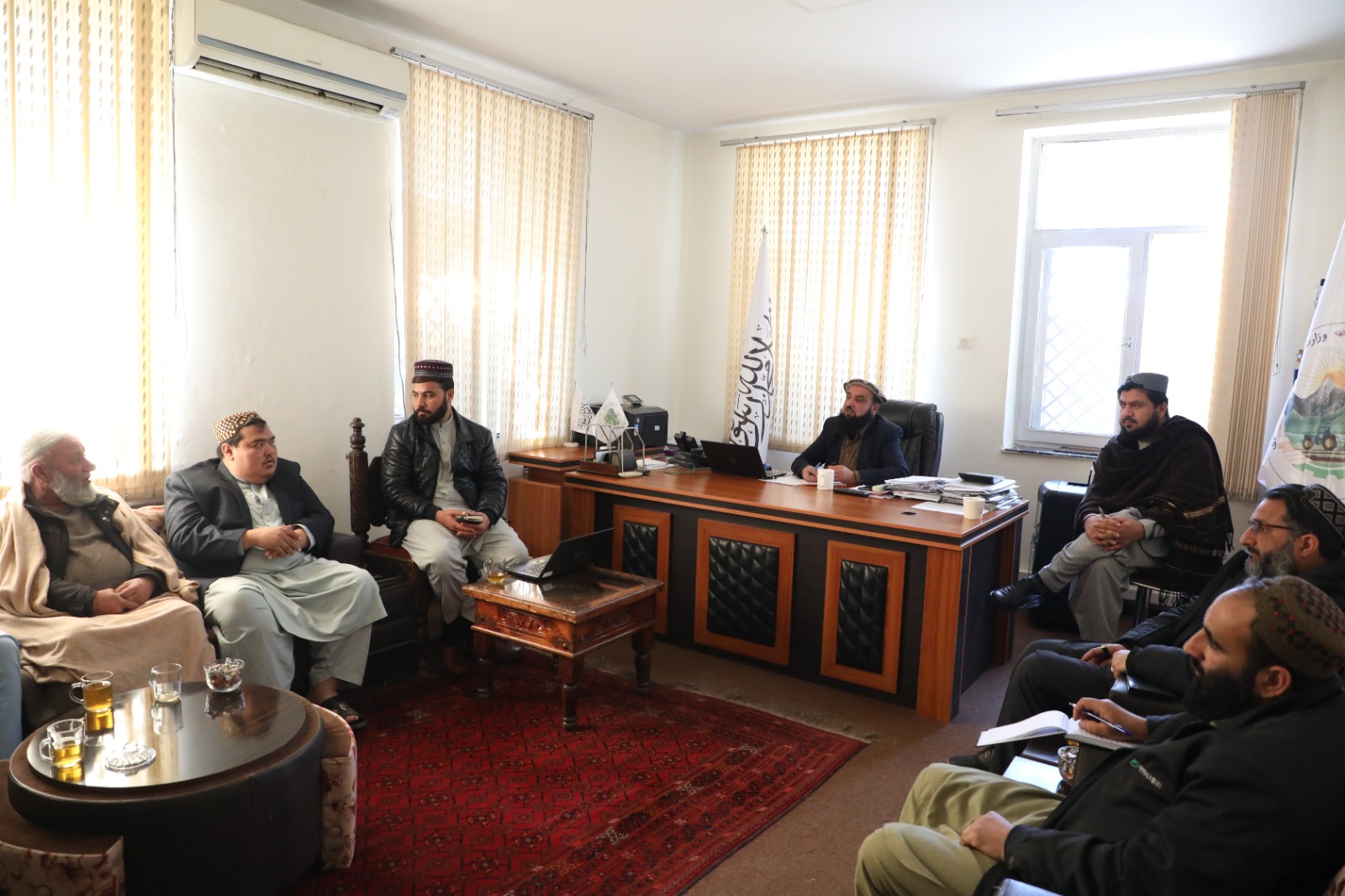 طرح سرمایه‌گذاری ۱ میلیاردو ۵۰ میلیون افغانی در بخش ترویج درخت پالم ارزیابی شد