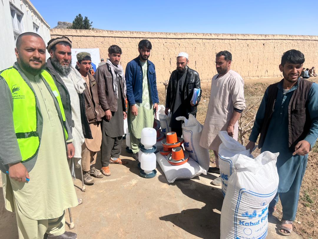 برای ۱۰۰ فامیل در ولسوالی ده سبز ولایت کابل مرغ‌های تخمی توزیع گردید 