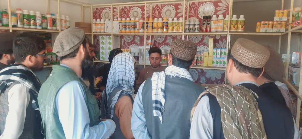 نظارت ادویه فروشی‌های زراعتی و کلینیک‌های صحت حیوانی در‌ ولسوالی میر بچه کوت ولایت کابل 