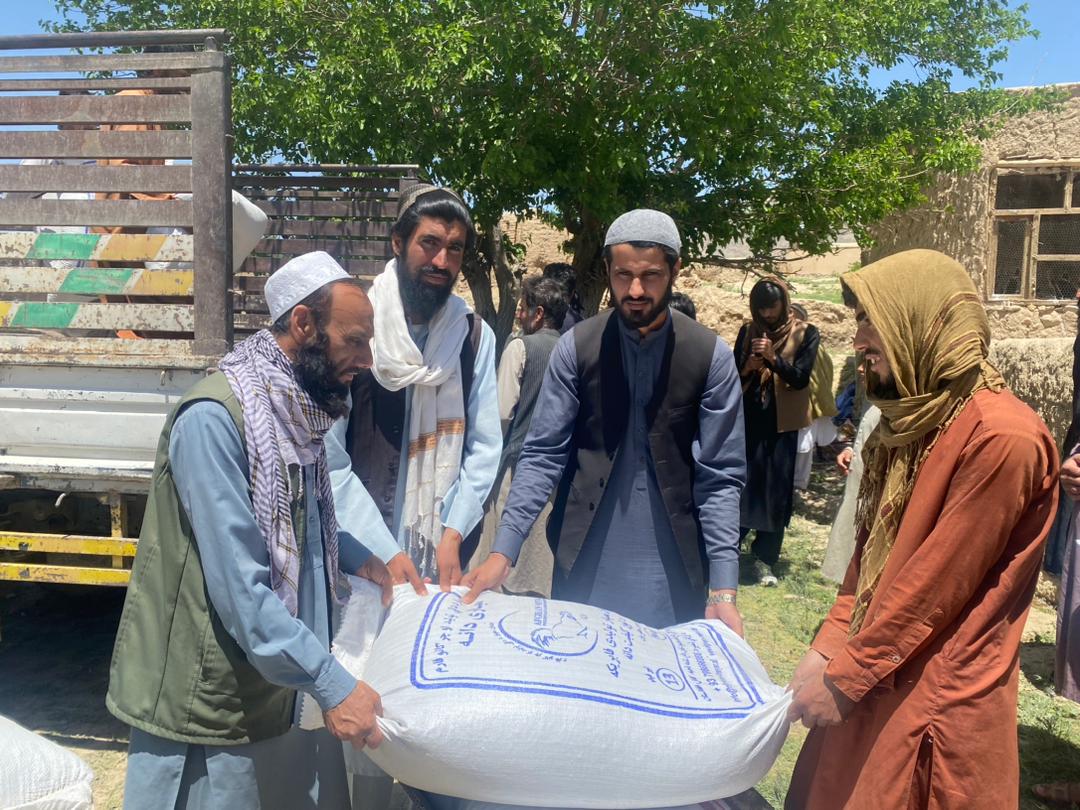 برای ۱۰۰ فامیل بی‌بضاعت در ولسوالی خاکجبار ولایت کابل مرغ‌های تخمی توزیع شد 