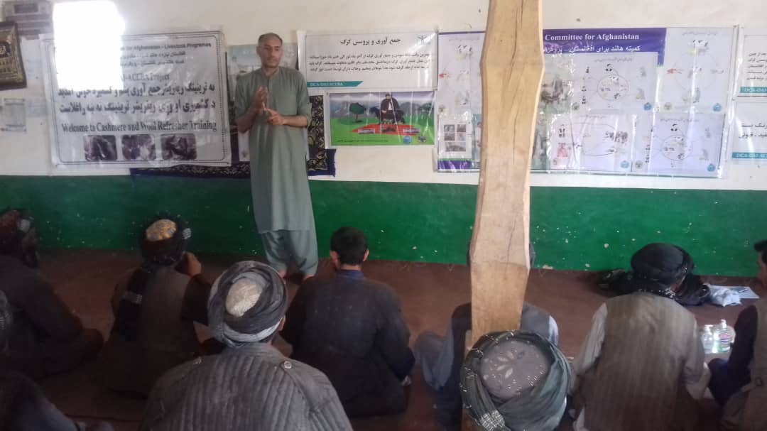 راه‌اندازی برنامه آموزشی برای ده‌ها تن از مالدارن در ولایت تخار