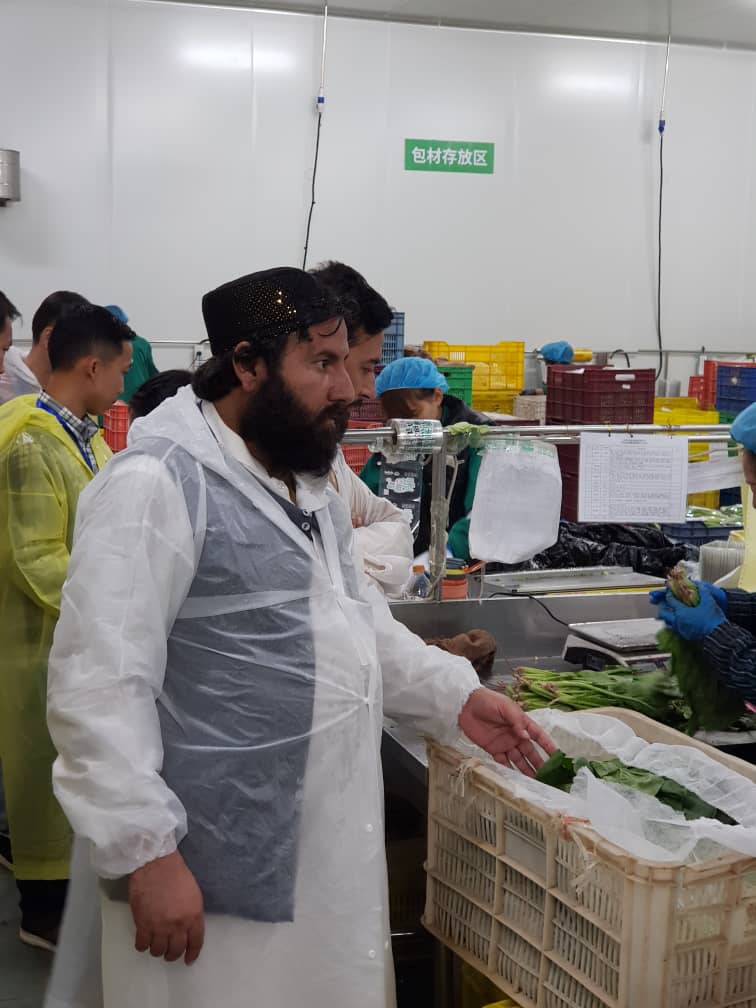 بازدید هیئت وزارت زراعت از فابریکه‌های ماشین آلات زراعتی در کشور چین