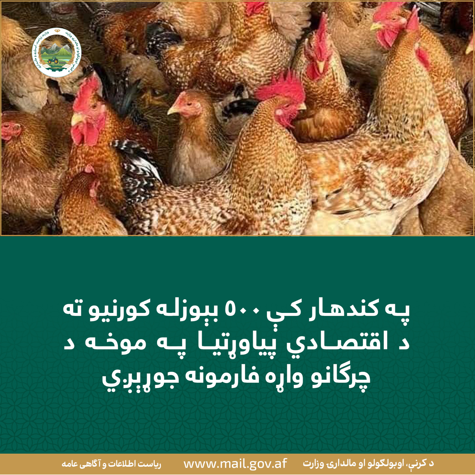 د ورځ مهمی خبری