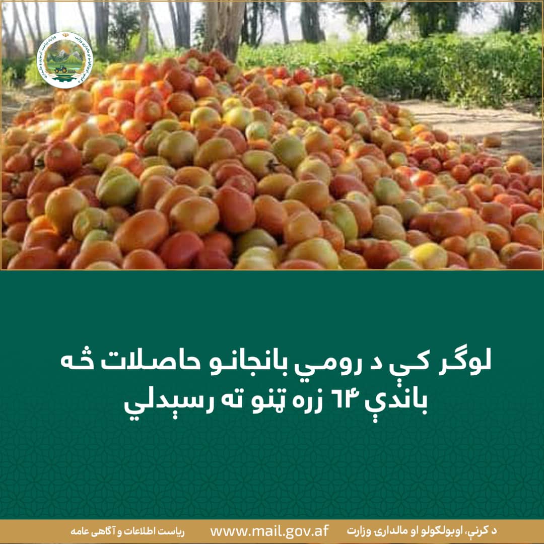 د ورځ مهمی خبری