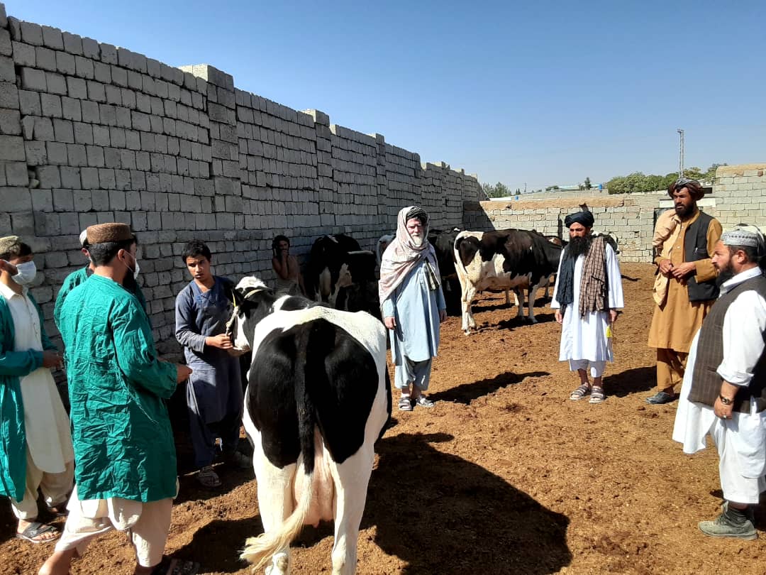 د ننګرهار کانال شرکت رییس د کوچیانو له یوشمېر قومي مشرانو سره وکتل ۴ تله ۱۴۰۳ه‍.ش ۲۲ رَبِیعُ الْأَوَّل ۱۴۴۶ه‍.ق د ننګرهار کانال شرکت رییس سید محمد نعیم محمدي دخپل کار په دفتر کې د کوچیانو له یوشمېر قومي مشرانو سره په کتنه کې د دوی ستونزې او غوښتنې واورېدې. ددې لیدنې په ترڅ کې د کوچیانو قومي مشرانو خپلې ستونزې او غوښتنې د ننګرها کانال شرکت رییس محمد نعیم محمدي سره شریکې کړې او د حل غوښتنه یې وکړه، چې د ننګرهار کانال شرکت رییس دوی ته د هراړخیزو همکاریو ډاډ ورکړ. د ننګرهار کانال شرکت رییس د یاد شرکت اړوندو چار