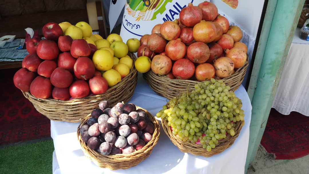 میوه‌های پروسس شده باغداران کشور در سی‌ویکمین نمایشگاه محصولات زراعتی وزارت زراعت به روایت تصویر