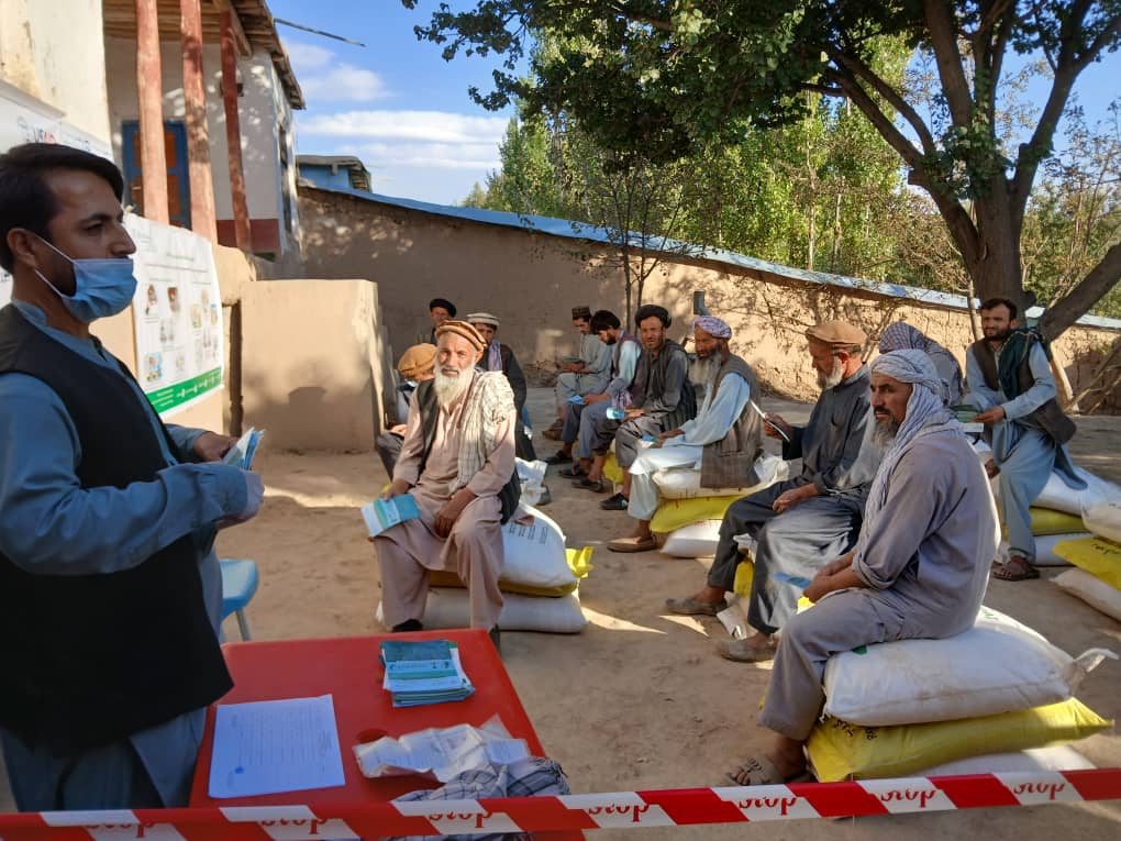 آغاز توزیع تخم اصلاح‌شده گندم و کود کیمیاوی در ولسوالی یفتل پایان ولایت بدخشان