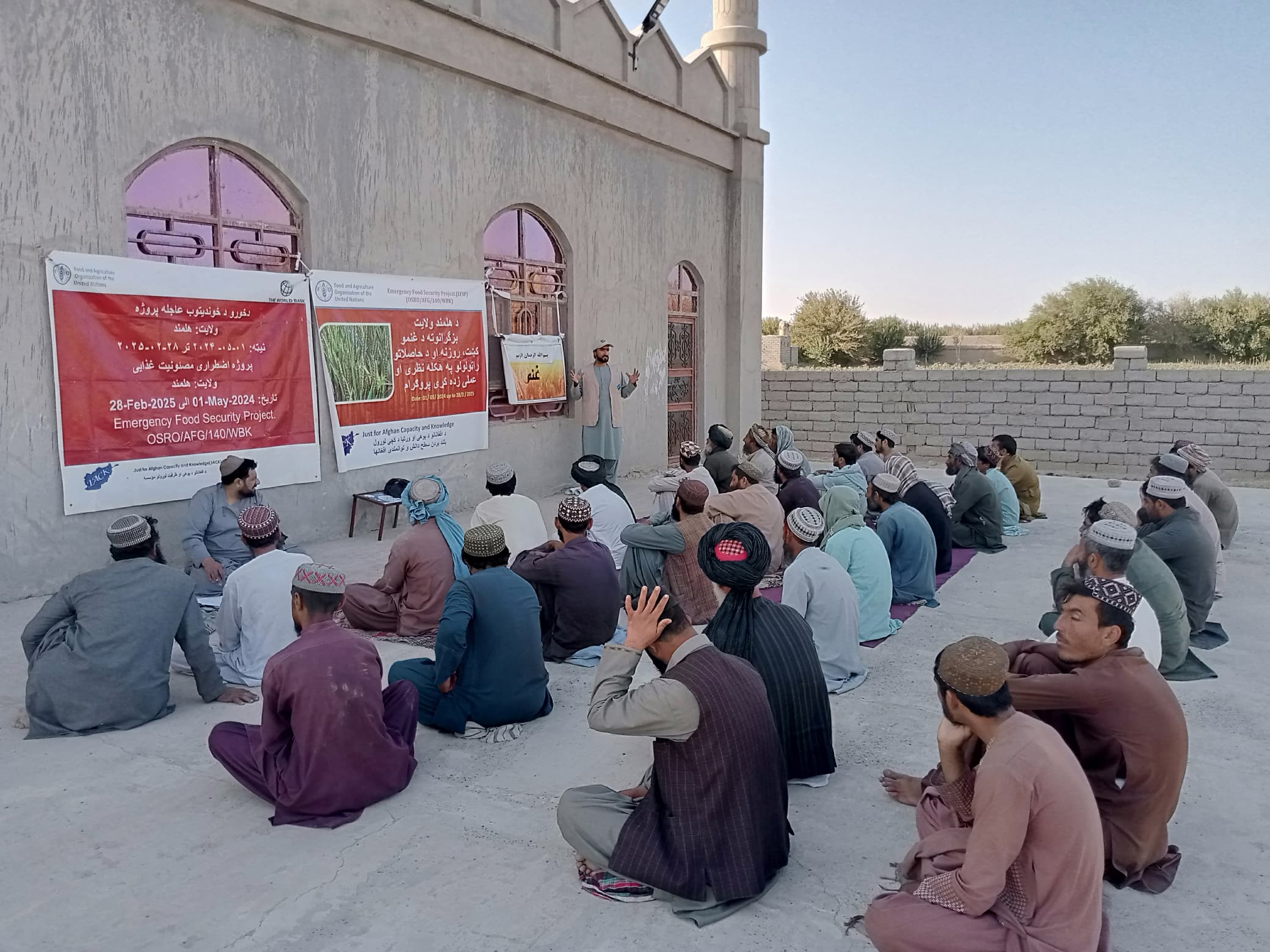 د هلمند دکرنې ریاست: زرګونو بزګرو ته  د غنمو کرنې په اړه  زده کړې ورکول کېږي ا لړم ۱۴۰۳ه‍.ش ۱۹ رَبِیعُ الْثاني ۱۴۴۶ه‍.ق د هلمند ولایت دکرنې، اوبولګولو او مالدارۍ ریاست لخوا، په دې ولایت کې زرګونو بزګرانو ته د غنمو ښې کرنې او روزنې په اړه زده کړې ورکول کېږي. ددې پروګرام په ترڅ کې به د هلمند ولایت څه دپاسه ٥٠زره بزګران شامل دي، چې مرکز لښکرګاه، ناوې، واشېر، ګرمسېر، موسی کلا، کجکي، خانشین، باغران، دیشو، مارجه، ناومیش، نادعلي، نهرسراج، نوزاد، سنګین، ګرشک، بغني، بهرامچه  او باباجي ولسوالیو کې به د ٣ میاشتو په مو