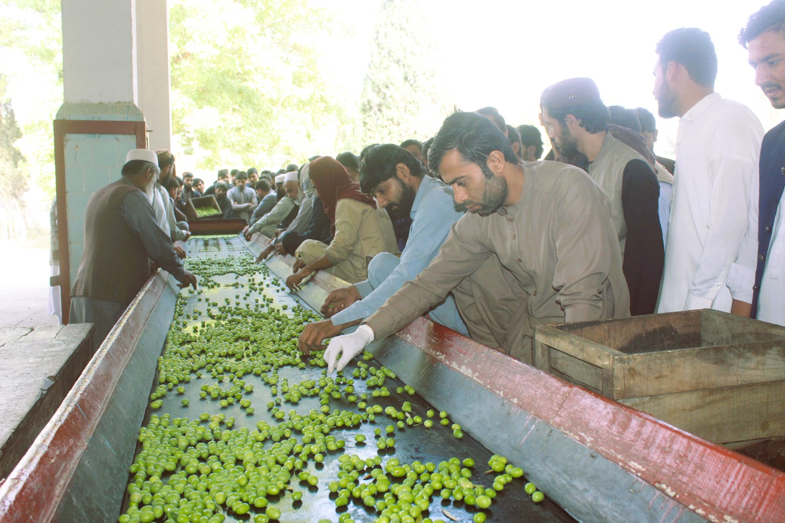 د ننګرهار کانال شرکت کې زده کړیالانو ته د عملي زده کړې زمینه برابره شوې