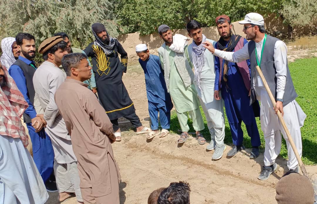 په خاکجبار ولسوالی کې د زعفرانو بزګرانو ته عملي ټرینینګ پیل شو