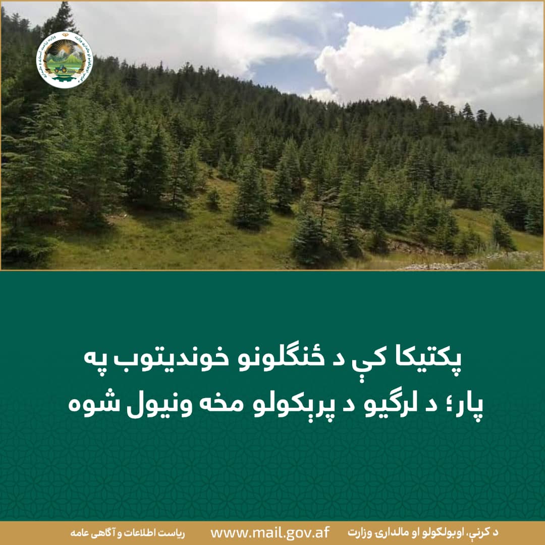 د ورځ مهمی خبری