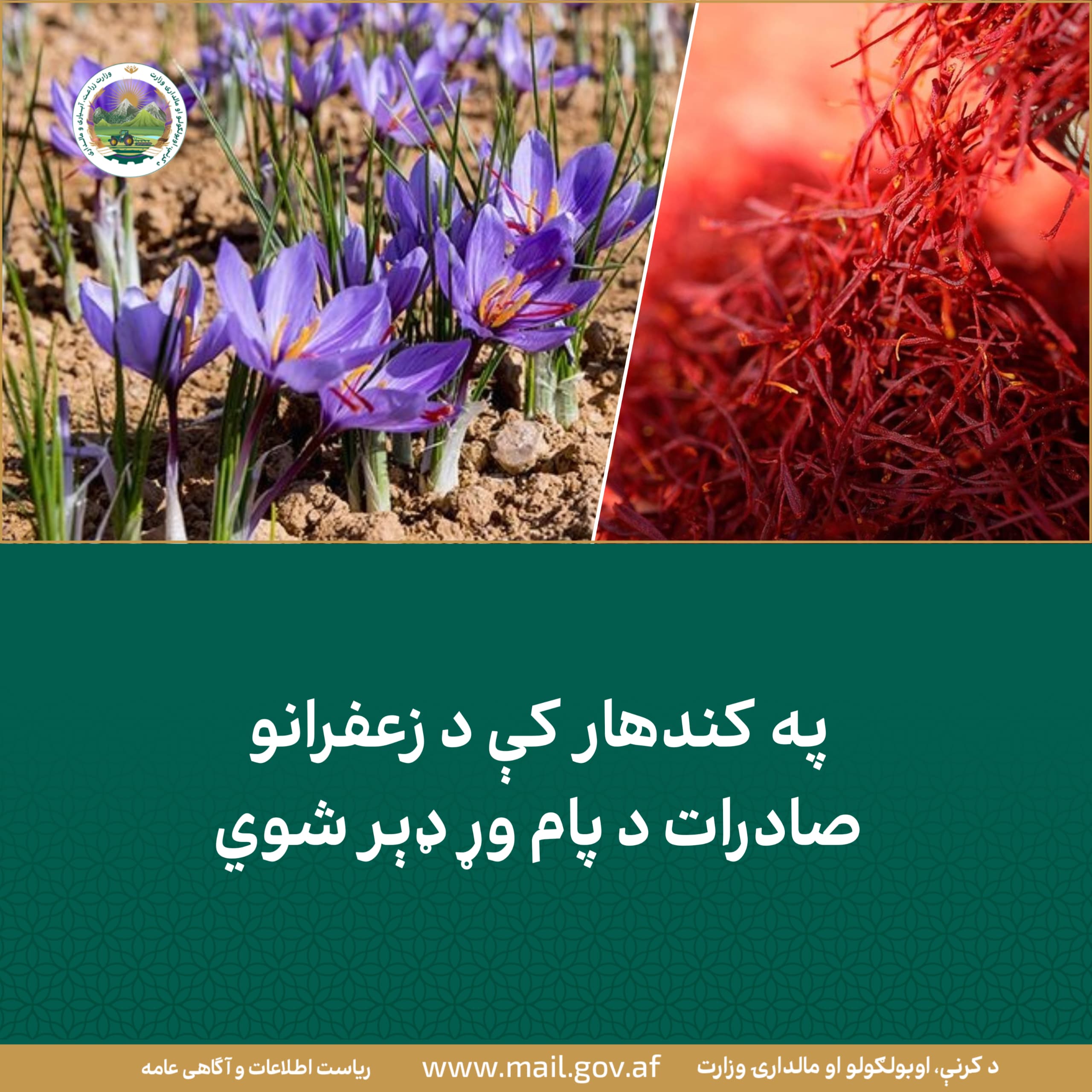 د ورځ مهمی خبری