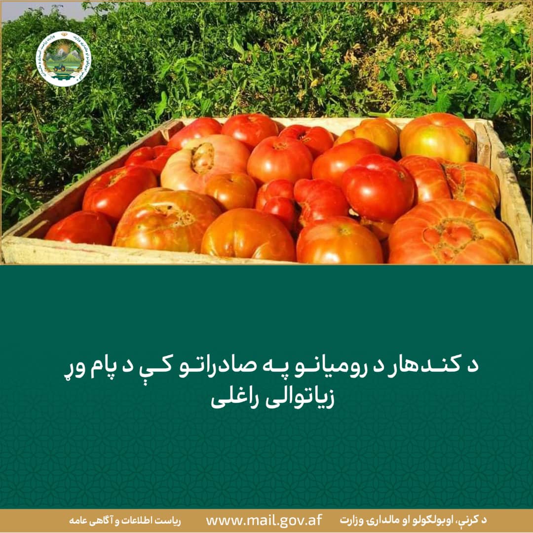 د ورځ مهمی خبری