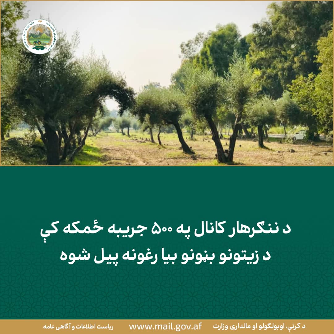 د ورځ مهمی خبری