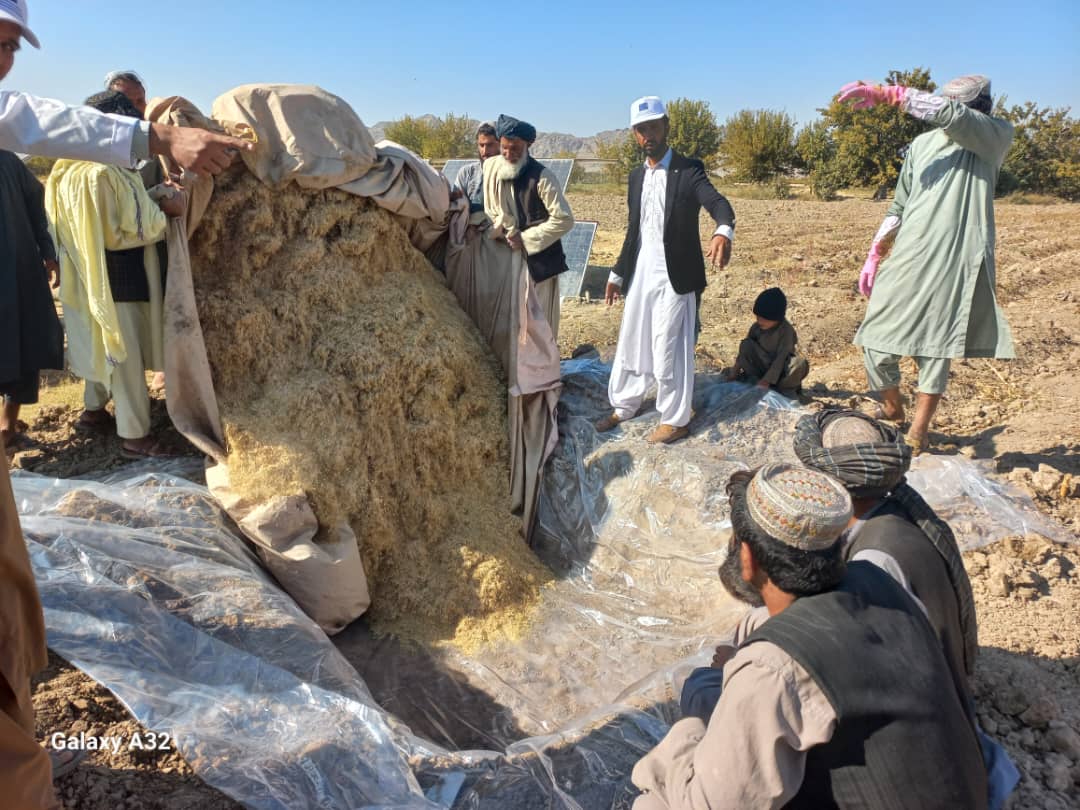 په کندهار کې ۸۵ مالدارانو ته د ژمنۍ خوراکې جوړولو روزنه ورکړل شوه