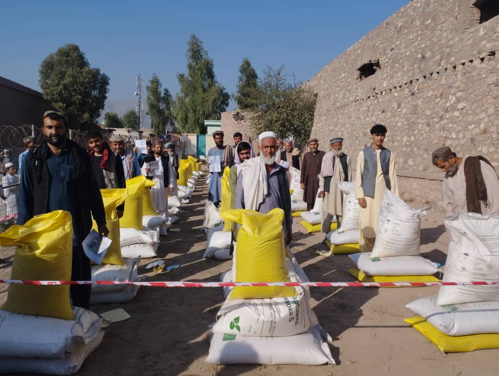 ننګرهار کې نږدې ۱۵ زره بزګرانو ته د غنمو اصلاح شوي تخم او کیمیاوي سرې وویل شوې