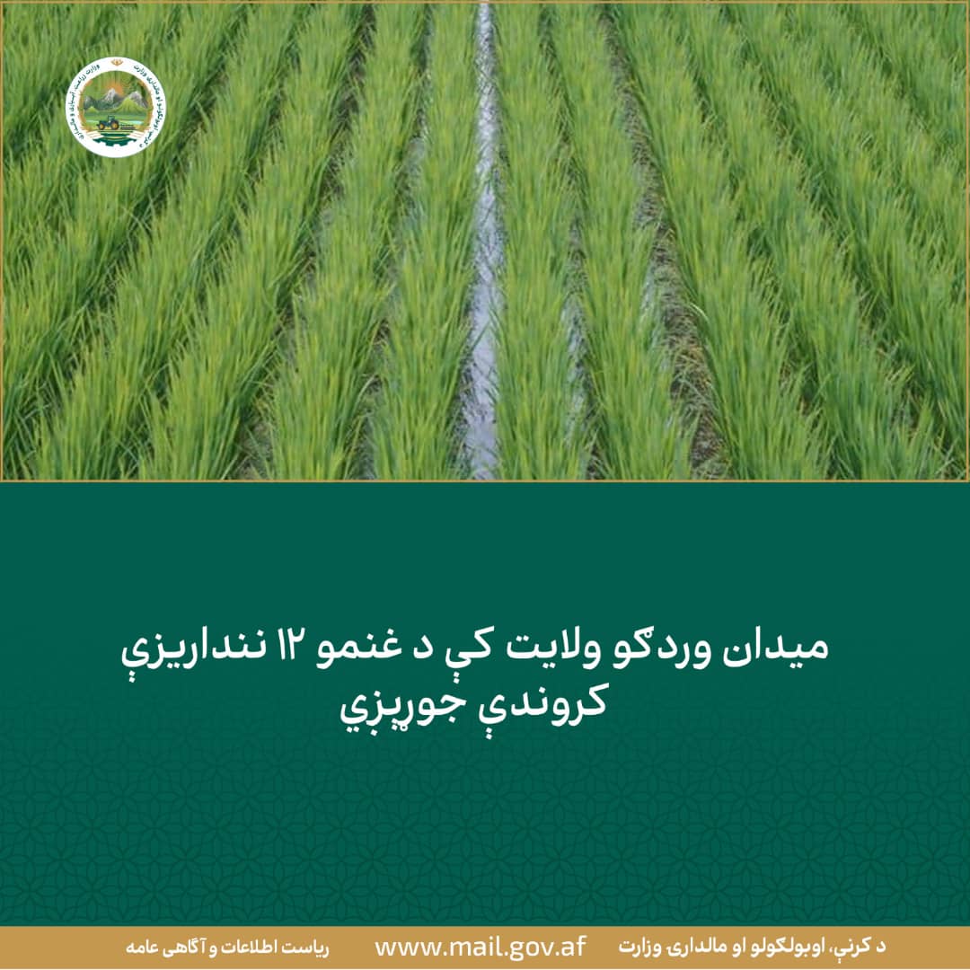 د ورځ مهمی خبری