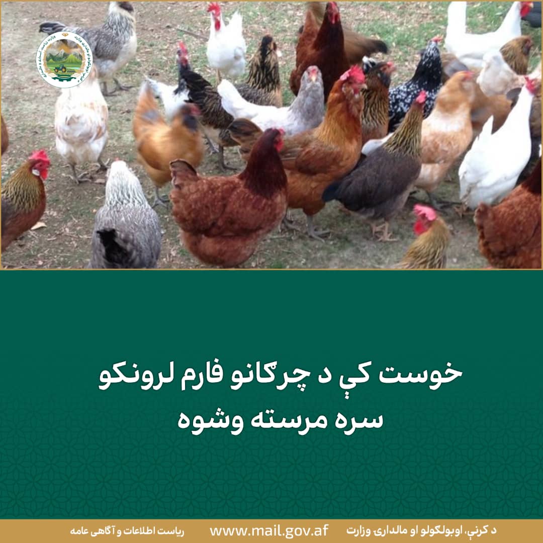 د ورځ مهمی خبری