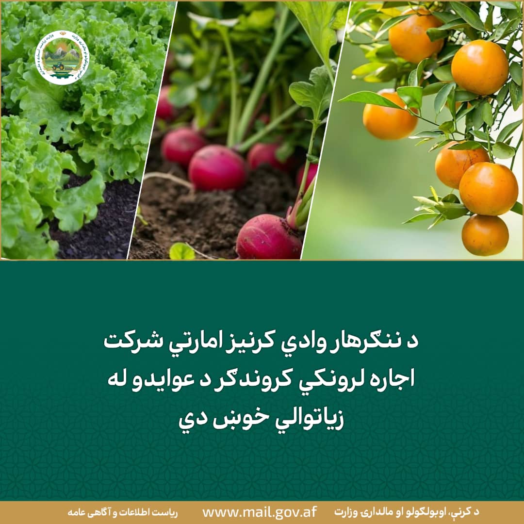 د ورځ مهمی خبری