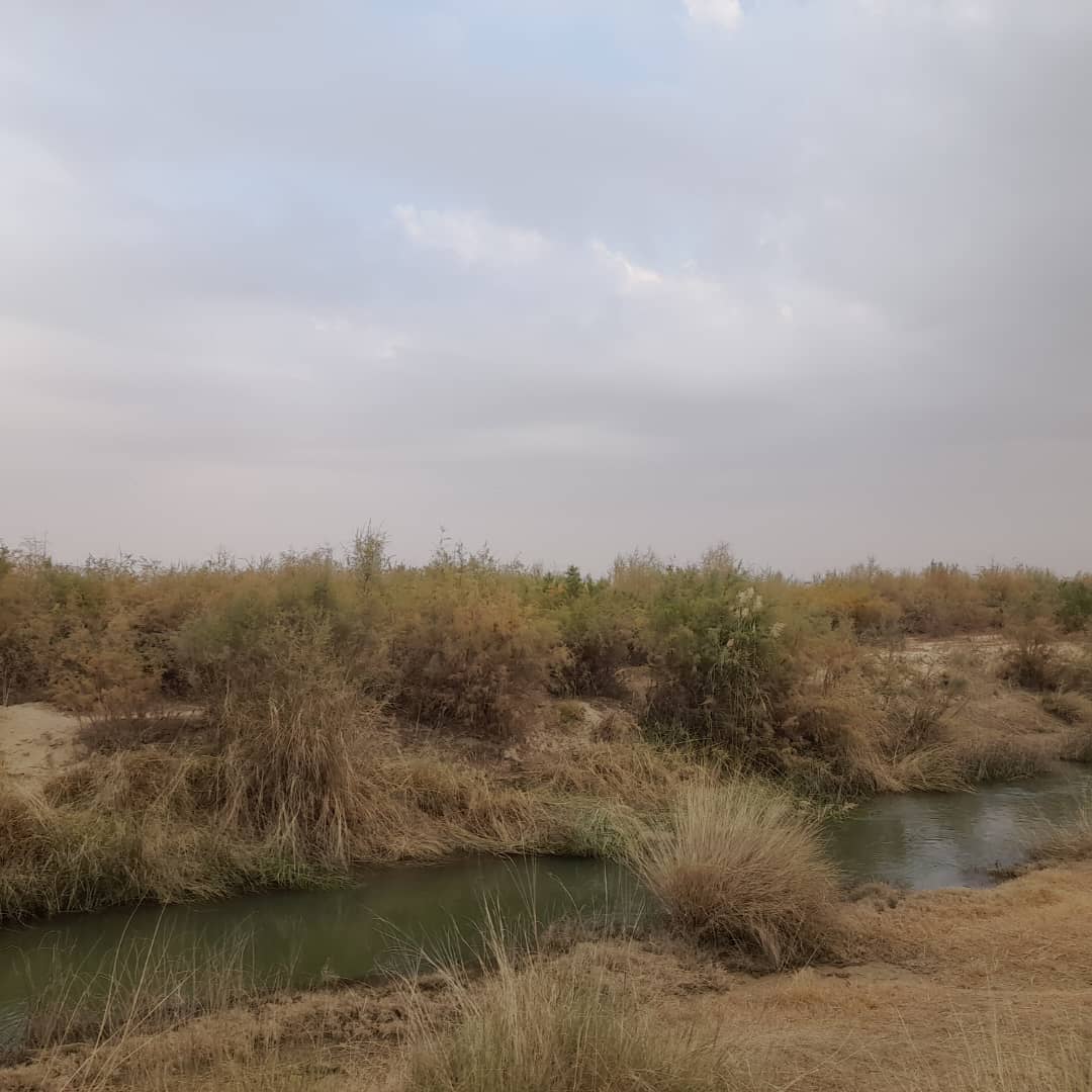 د هلمند ناوه کې سلګونو کسانو ته د طبیعي ځنګلونو او علفچرو ساتنې په هکله پوهاوی ورکړل شو