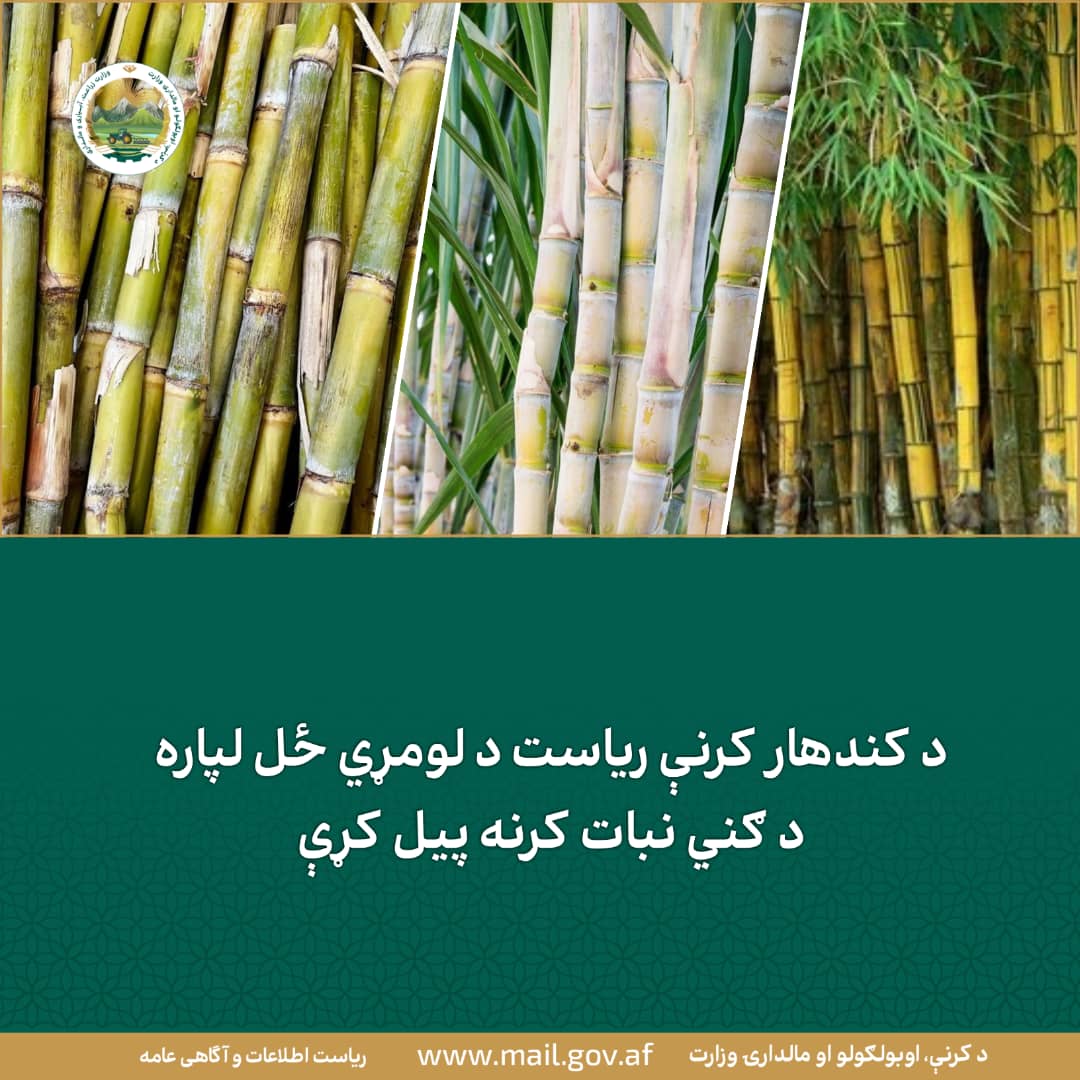 د ورځ مهمی خبری