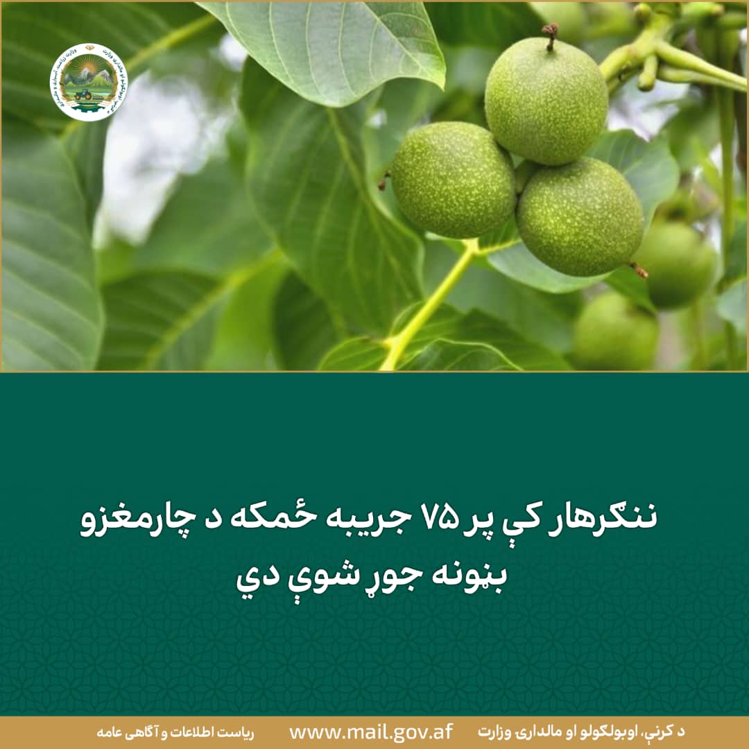 د ورځ مهمی خبری